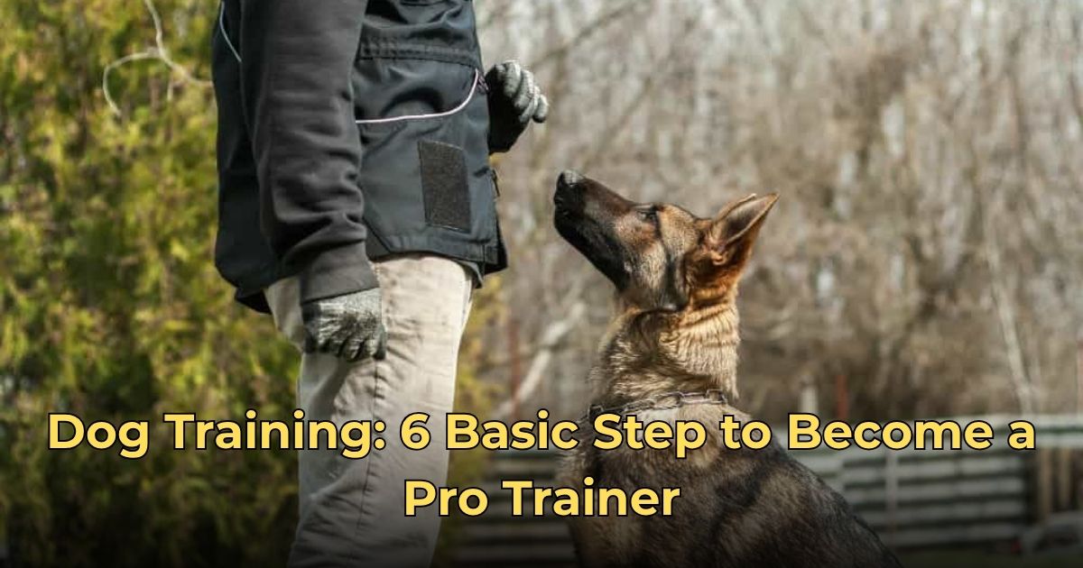 Dog Training: 6 Basic Step to Become a Pro Trainer